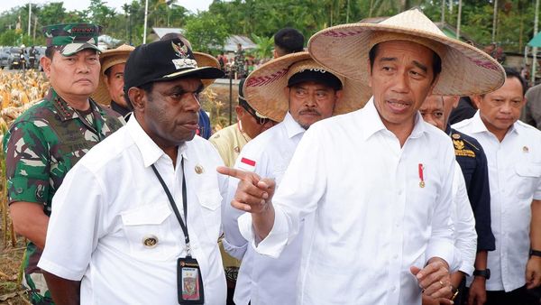 Momen Jokowi Tinjau Food Estate Keerom Papua