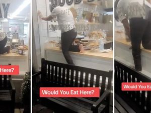 TikToker Ini Berniat Hujat Pelayan Kafe, Netizen Justru Mendukung