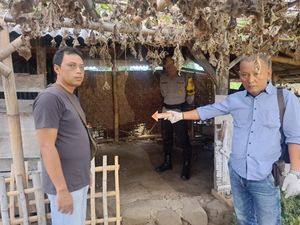 Warga Temukan Bayi di Gubuk Tengah Sawah, Kondisinya Masih Hidup