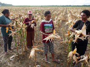 Moeldoko Bantah Program Food Estate Gagal!