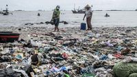 Sampah Kotori Pantai Teluk Labuan Banten