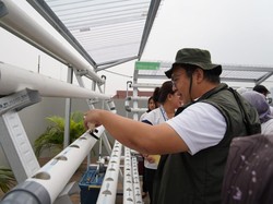 Dukung Green Building, ASDP Luncurkan Program Berkebun Hidroponik