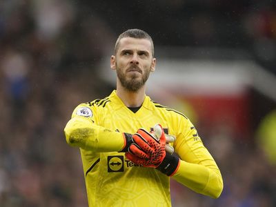 6 Pemain Top Gratisan Musim Panas Ini: De Gea sampai Hummels