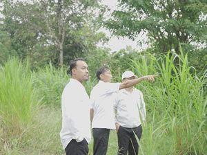 Jalan Lingkar Selatan Akan Jadi Akses Keluar Wisatawan Seusai Nonton Kecak Jalan Lingkar Selatan Akan Jadi Akses Keluar Wisatawan Seusai Nonton Kecak