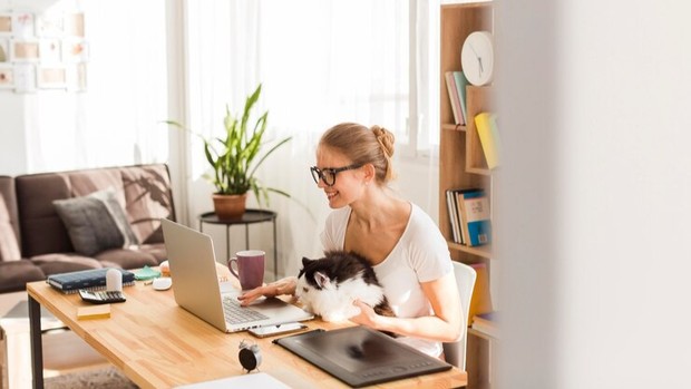 Ilustrasi/Foto: Freepik.com Pengertian windowed work