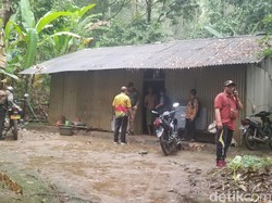 Alasan Haru Keluarga Suri Madin Menyendiri Tinggal di Tengah Hutan Jember
