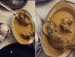 Pengunjung Protes Temukan Tikus Mati di Makanan, Restoran Malah Bilang Begini