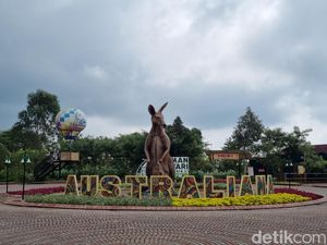 Yuk, Mengenal Satwa Asal Australia di Taman Safari Prigen Pasuruan Yuk, Mengenal Satwa Asal Australia di Taman Safari Prigen Pasuruan