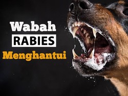Teror Rabies Merebak Ancam Jiwa
