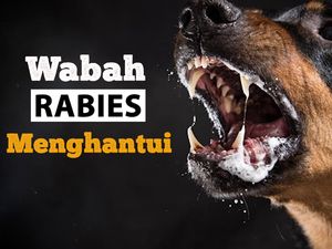 Teror Rabies Merebak Ancam Jiwa Teror Rabies Merebak Ancam Jiwa