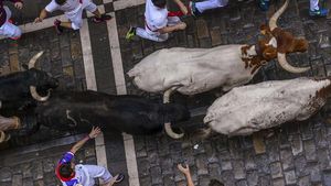 Beradu Lari dengan Banteng Liar di Festival San Fermin