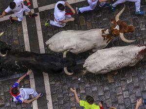 Saat Aktivis Hewan Turun ke Jalan Tolak Festival San Fermin Saat Aktivis Hewan Turun ke Jalan Tolak Festival San Fermin