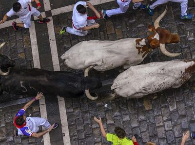 Beradu Lari dengan Banteng Liar di Festival San Fermin
