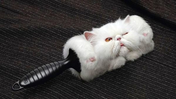 Deretan Iklan Super Kreatif dan Unik