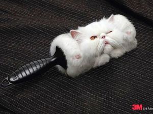 Deretan Iklan Super Kreatif dan Unik