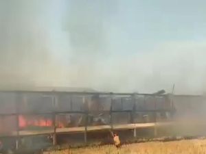 Kebakaran Kandang Ternak di Bojonegoro, 25 Ribu Ayam Mati Terpanggang Kebakaran Kandang Ternak di Bojonegoro, 25 Ribu Ayam Mati Terpanggang
