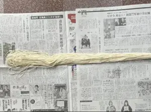 Wow! Mie Asal Jepang Ini Panjangnya Capai 3,6 Meter Wow! Mie Asal Jepang Ini Panjangnya Capai 3,6 Meter