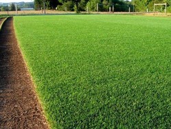 Jelang Hadapi Persipa, Persela Keluhkan Rumput Sintetis Stadion Joyokusumo