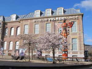 Mengenal Museum Volkenkunde di Belanda Simpan Artefak RI Ratusan Tahun