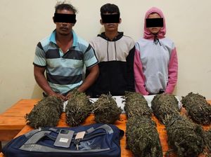 Kompak Jadi Pengedar Ganja, Pasutri di Lhokseumawe Ditangkap Kompak Jadi Pengedar Ganja, Pasutri di Lhokseumawe Ditangkap