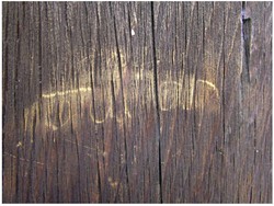 Kesedihan Biksu gegara Remaja Berusia 17 Tahun