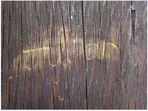 Kesedihan Biksu gegara Remaja Berusia 17 Tahun Kesedihan Biksu gegara Remaja Berusia 17 Tahun