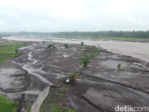 113 Hektare Lahan Pertanian Warga Rusak Terendam Material Vulkanik 1 Meter