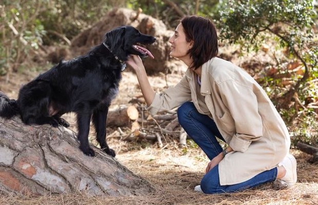 Perempuan sedang mengelus anjing