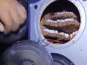 Hiii! Tawon Vespa Bersarang di Speaker, Sengat Pak RT Merbung Klaten Hiii! Tawon Vespa Bersarang di Speaker, Sengat Pak RT Merbung Klaten