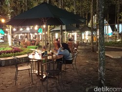 Menikmati Wisata Kuliner di Hutan Jati Tasikmalaya