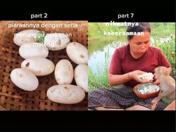 Anti Mainstream! Orang Ini Cicip Telur Buaya hingga Telur Ular Goreng