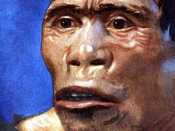 Belanda Belum Pulangkan Kerangka Manusia Jawa, Apa Sih Sebabnya?