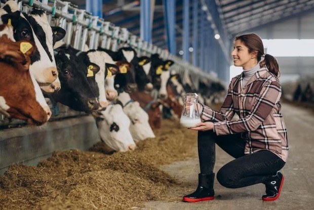 Penularan antraks/ foto: Freepik/ senivpetro Perempuan sedang melihat sapi