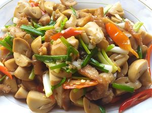 Resep Tumis Ayam Jamur dan Cabe, Lauk Praktis Untuk Bekal Resep Tumis Ayam Jamur dan Cabe, Lauk Praktis Untuk Bekal