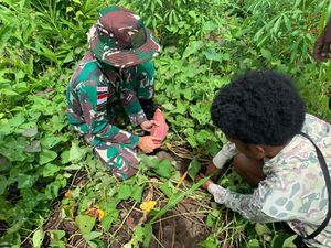 Satgas Yonif 143/TWEJ Panen Ubi Jalar Bersama Warga Papua