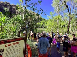 Geger Serangan Buaya di Air Terjun saat Ramai Turis Berenang