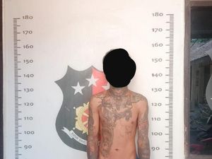 Ternyata, Shelter Kucing Rumah Singgah Clow di Bogor Dibakar Eks Karyawan