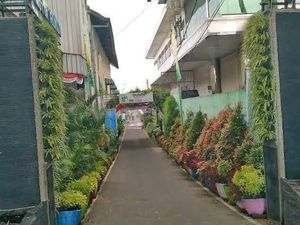 Cerita Kampung Glintung Malang yang Semula Kumuh Disulap Jadi Cantik Cerita Kampung Glintung Malang yang Semula Kumuh Disulap Jadi Cantik