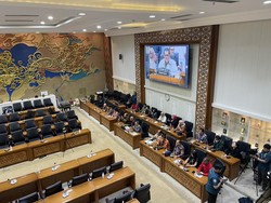 Anggota DPR soal UU Kesehatan: Sudah Cukup Demonya, Silakan Judicial Review