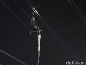 PLN Blitar Rugi Rp 20 Juta Hanya Semalam gegara Layang-layang Gapangan