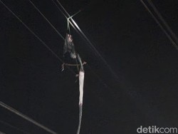 PLN Blitar Rugi Rp 20 Juta Hanya Semalam gegara Layang-layang Gapangan