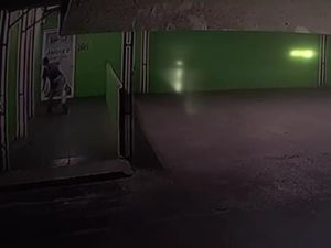 Pembakar Shelter Kucing di Bogor Terekam CCTV, Lempar Batu ke Pintu Klinik