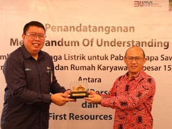 11 Pabrik Sawit di Riau Beralih Pakai Listrik PLN, Ini Alasannya