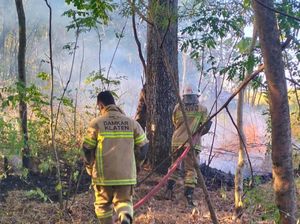 Rekor! Kebakaran Lahan Kosong di Klaten Sampai 8 Kali dalam Sehari Ini