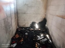 Kucing-kucing Alami Sesak Napas Saat Rumah Singgah Clow Dibakar