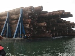 Warga Mentawai Hadang Kapal Ponton Pengangkut 3.000 Kubik Kayu