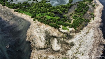 Ternyata Ini Penyebab 'Pulau Sampah' Muncul di Muara Angke Jakut