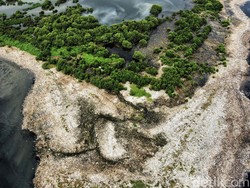 Ternyata Ini Penyebab Pulau Sampah Muncul di Muara Angke Jakut