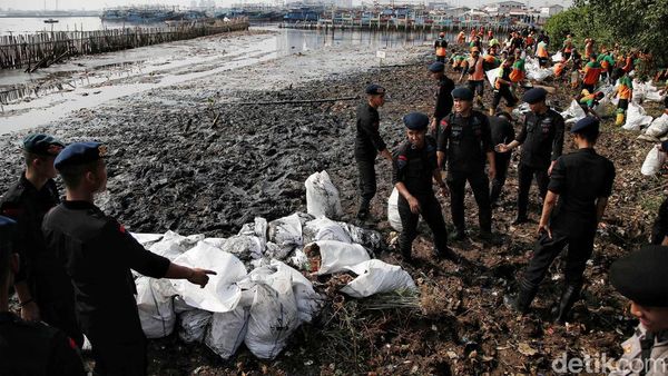 Petugas Gabungan Gerebek Sampah di Hutan Mangrove Muara Angke