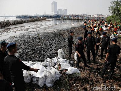 Petugas Gabungan Gerebek Sampah di Hutan Mangrove Muara Angke